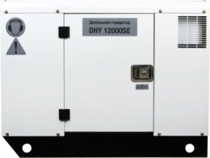  Hyundai DHY 12000SE 11