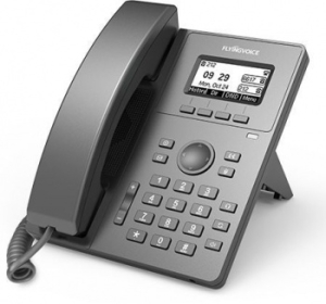  IP Flyingvoice P10P 
