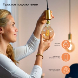    Gauss Smart Home DIM+CCT E27 G95 Golden 6,5  2000-5500  1/40