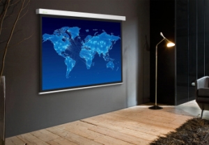  Cactus 150x150 Wallscreen CS-PSW-150x150 1:1 -  