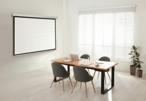  Cactus 150x150 Wallscreen CS-PSW-150x150 1:1 -  