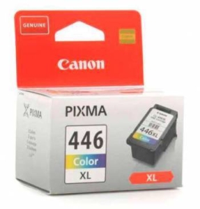   CL-446XL (8284B001)  Canon PIXMA MG2440/2540. , 300 .