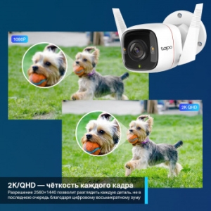  Wi-Fi  TP-Link Tapo C320WS