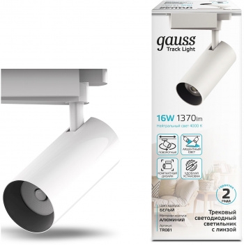  GAUSS   16W 1680lm 4000K 180-220V IP20 65*206  LED 1/40 TR081