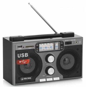     -306  USB SD