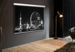  Cactus 127x127 Wallscreen CS-PSW-127X127 1:1 -  
