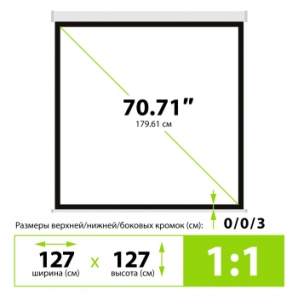  Cactus 127x127 Wallscreen CS-PSW-127X127 1:1 -  
