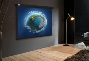  Cactus 127x127 Wallscreen CS-PSW-127X127-BK 1:1 -  