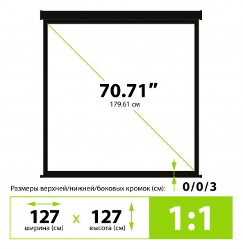  Cactus 127x127 Wallscreen CS-PSW-127X127-BK 1:1 -  