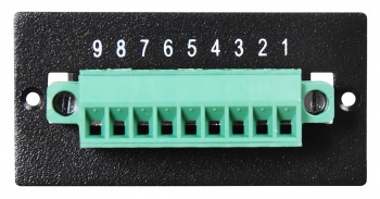  Ippon 1180662 Dry Contacts card Innova RT33