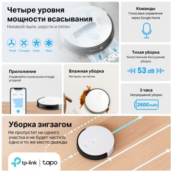 - TP-Link TAPO RV10