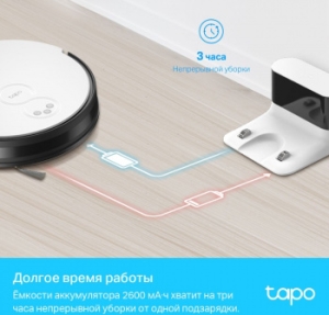 - TP-Link TAPO RV10