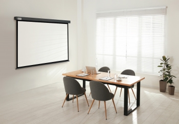  Cactus 127x127 Wallscreen CS-PSW-127X127-SG 1:1 -  