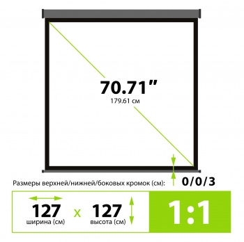  Cactus 127x127 Wallscreen CS-PSW-127X127-SG 1:1 -  