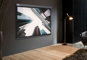  Cactus 183x244 Wallscreen CS-PSW-183X244-SG 4:3 -  