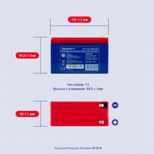    Ippon IP12-9 12 9