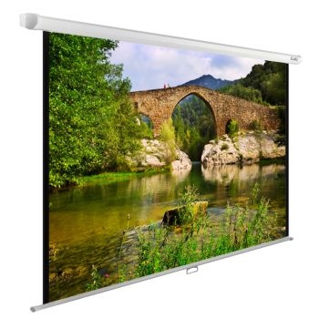  Cactus 220x165 WallExpert CS-PSWE-220x165-WT 1:1 -  