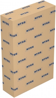   NTSS  (NTSS-W9U6045GS-2)  9U 600x450 .. 60  I