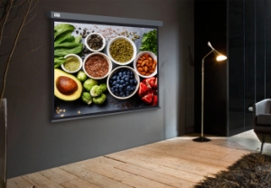  Cactus 150x150 Wallscreen CS-PSW-150X150-SG 1:1 -  