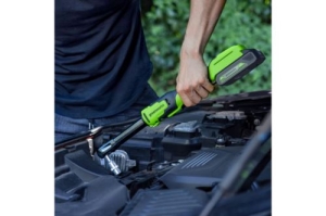    GreenWorks GD24RWX, 24v,     (3803907)