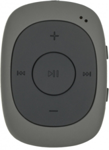  Flash Digma C2L 4Gb /FM/clip