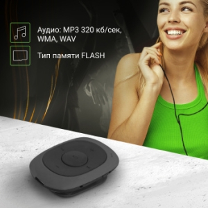  Flash Digma C2L 4Gb /FM/clip