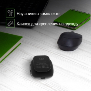 Flash Digma C2L 4Gb /FM/clip