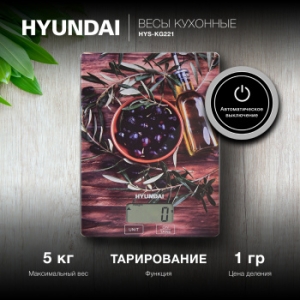    Hyundai HYS-KG221 .:5 