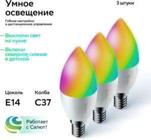    37, SBDV-00135