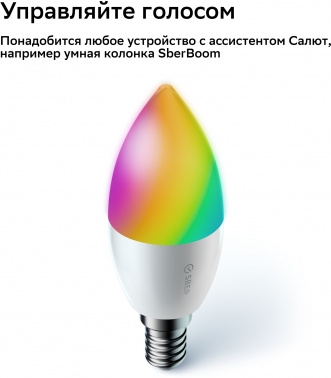    37, SBDV-00135