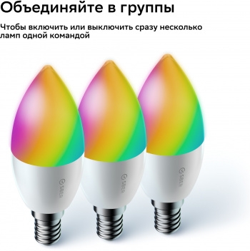    37, SBDV-00135