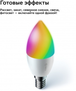    37, SBDV-00135