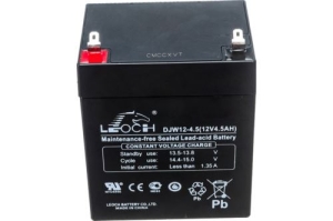  LEOCH DJW12-4.5  