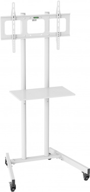    Cactus CS-ST04  37