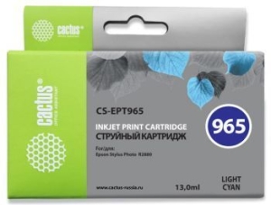   Cactus CS-EPT965 -  Epson Stylus Photo R2880 (13ml)