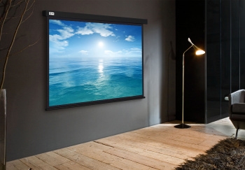  Cactus 104.6x186 Wallscreen CS-PSW-104X186-BK 16:9 -  