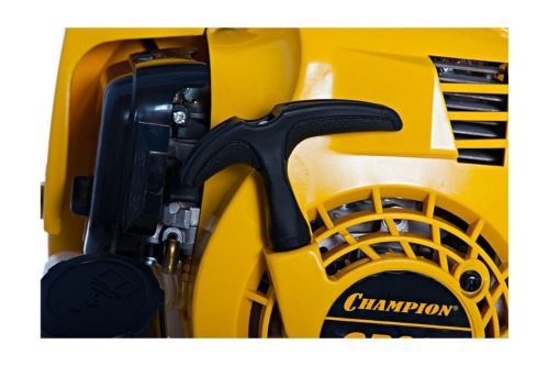  CHAMPION GB226  0.75/1 263 6123/ 5