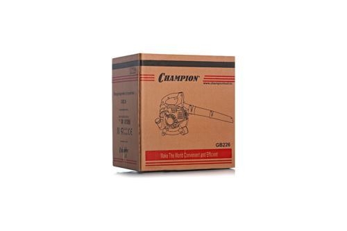   CHAMPION GB226  0.75/1 263 6123/ 5