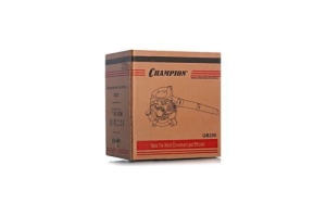   CHAMPION GB226  0.75/1 263 6123/ 5
