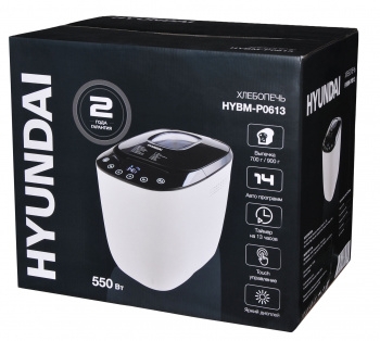  Hyundai HYBM-P0613 550 /