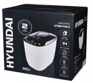  Hyundai HYBM-P0613 550 /