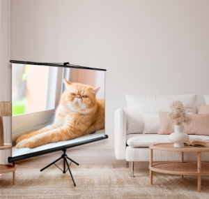  Cactus 127x127 Triscreen CS-PST-127X127 1:1   