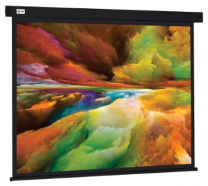  Cactus 206x274 Wallscreen CS-PSW-206X274-BK 4:3 -  