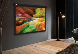  Cactus 206x274 Wallscreen CS-PSW-206X274-BK 4:3 -  