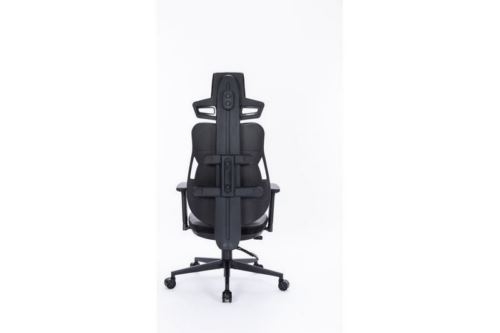  Cactus CS-CHR-DUO-GYBK /  . .   