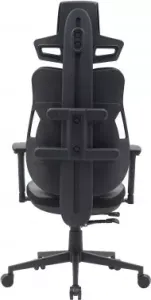  Cactus CS-CHR-DUO-GYBK /  . .   