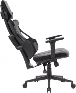  Cactus CS-CHR-DUO-GYBK /  . .   