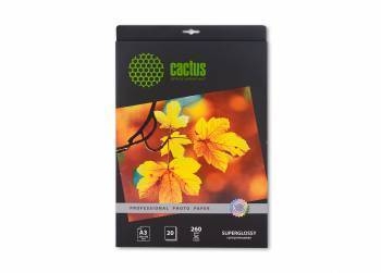  Cactus CS-HGA326020 Professional  3 260 /2 20 