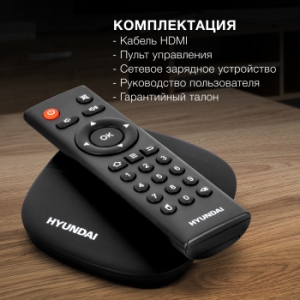  Hyundai H-DMP100