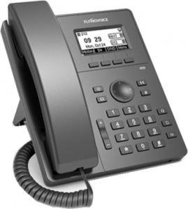  IP Flyingvoice P10W  (.:1)